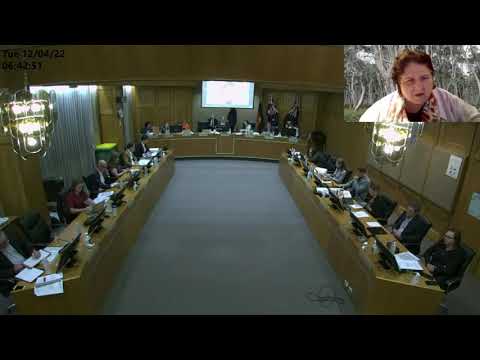 Inner West Ordinary Council meeting - 12  April  2022