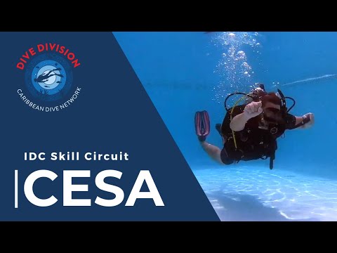 PADI IDC Skill Circuit: CESA Cont. Emergency Swimming Ascent (Revised Instructor Development Course)