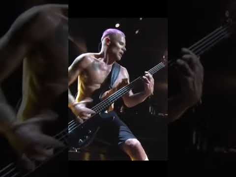 世界中の人々が憧れるベーシスト　 #rhcp #flea