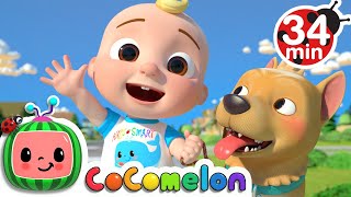 JJ Song + More Nursery Rhymes &amp; Kids Songs - CoComelon