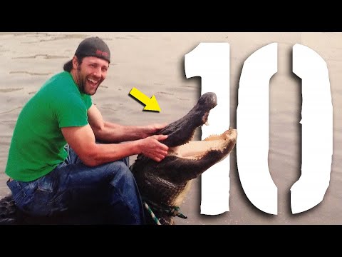 10 najgłupszych śmierci - nagrody DARWINA 11 [TOPOWA DYCHA]