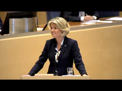 Assistans eller invandring, Vad prioriterar regeringen?