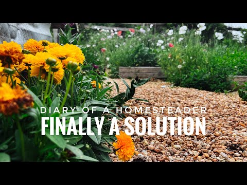 The Secret to Weed-Free Gravel Garden Pathways