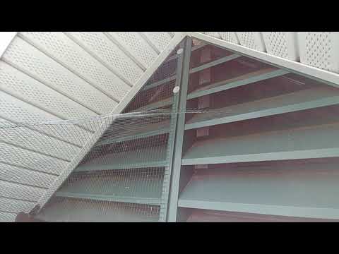 Birds Soil the Attic Area of a Firehouse in Tinton Falls, NJ