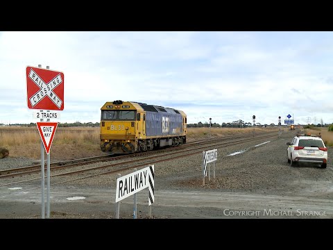 D977V Pacific National Light Engine BL33 (23/6/2023) - PoathTV Australian Trains & Railways