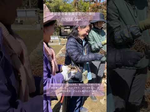 自然薬局：薬草園に絶対に入れておきたい、自分を癒す20の植物  庭園