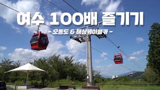 [여수시] 여수 오동도 동백열차 & 케이블카 타고 여수여행 100배 즐기기