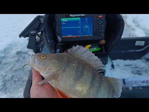 KAIKULUOTAIN TAPAHTUMIA PILKKIJÄILTÄ 4 | HAUKEA,KUHAA JA AHVENTA!