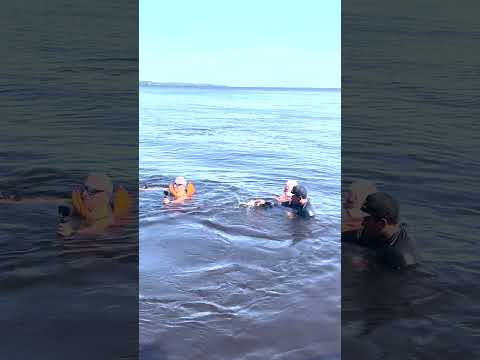 🇧🇷🐬  Swimming with wild Pink Dolphins in the Amazon