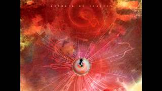 Animals as Leaders - Air Chrysalis