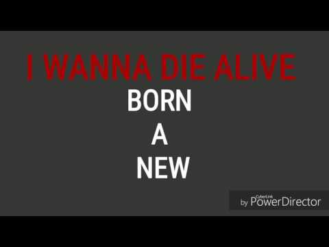 Volmax - It's Alright (lyric video)