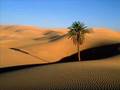Ennio Morricone - The good The bad The Ugly ...