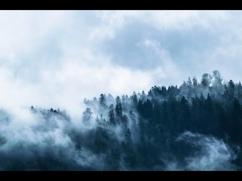 DirdyTwist - Mythen des Geists (Lyrics↓)