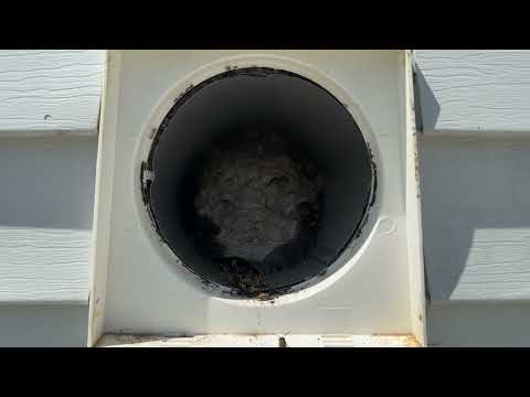Yellow Jackets Clogged the Exhaust Vent in Jackson, NJ