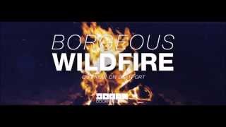 Download lagu Borgeous-Wildfire mp3