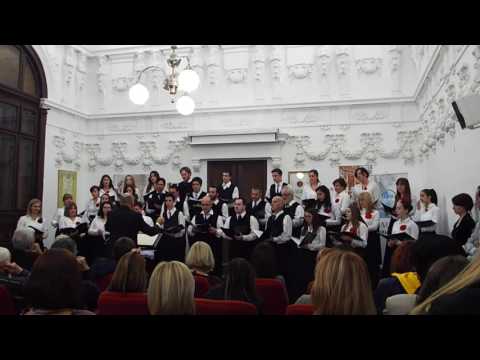 Nema leba - Mešoviti Hor Abrašević Valjevo