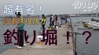 【館山釣り情報】各港どこも釣り堀状態！？【釣りっぱり】