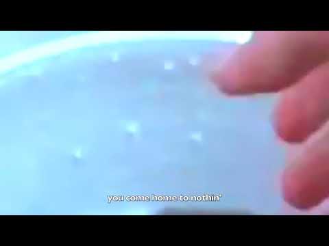 Mallbangs - Takebacks (Official Lyric Video)