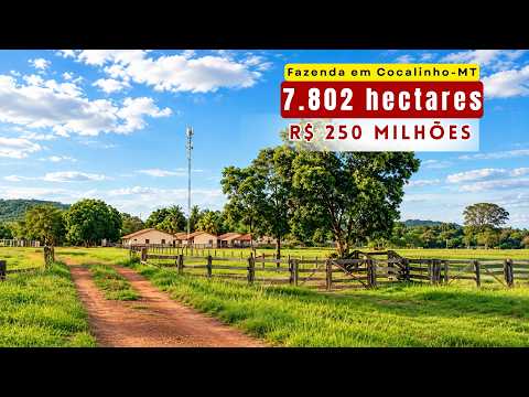 FAZENDA À VENDA EM COCALINHO-MT | 7.802 HECTARES | ESTRUTURA COMPLETA PARA PECUÁRIA