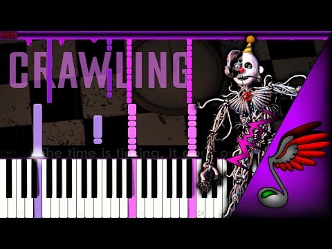 Crawling - CG5