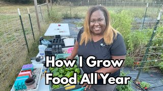 The Secret to Growing Food Every Single Month| Succession Planting
