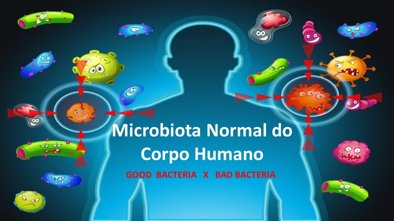 Microbiologia Médica: Microbiota normal   Parte 1
