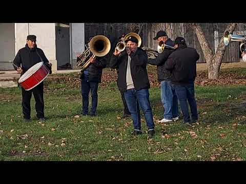 RADUCU MELINTE și fanfara de la Valea Mare la hramul de Sf Dumitru la SECUIA 26-10-2025. 