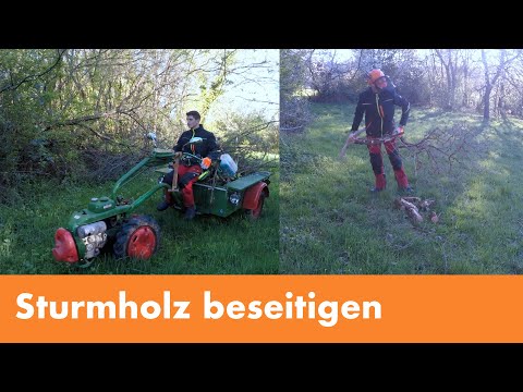 Sturmholz beseitigen mit Agria 1700 und Stihl MS 170
