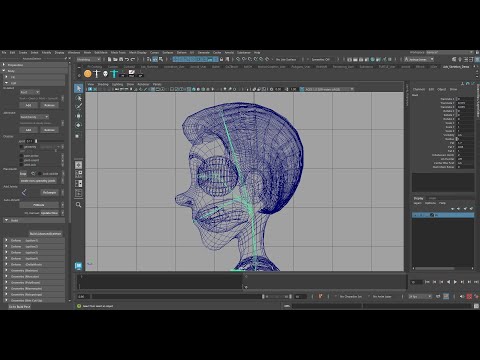 Advanced Skeleton - Body - Step by Step Rigging