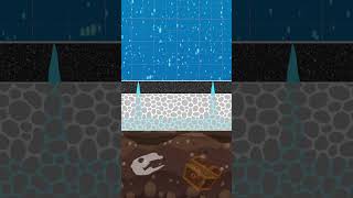 This is how thirsty concrete absorbs water. #concrete #asphalt #science