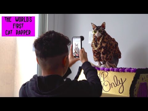 Shooting a Music Video For My Cat! | The Dark Lord