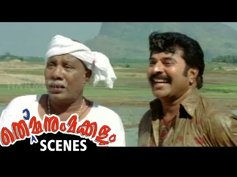 തമ്മിൽ തല്ലണമെങ്കിൽ അപ്പൻ പറയും | Thommanum Makkalum Movie Scene | Mammootty, Lal