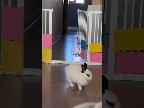 봄달이 너무 착해