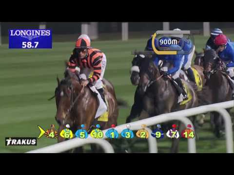 29.03.2014 Meydan (Dubai-UAE) 7.Race Dubai Duty Free 2014 - Group I 1.800 m