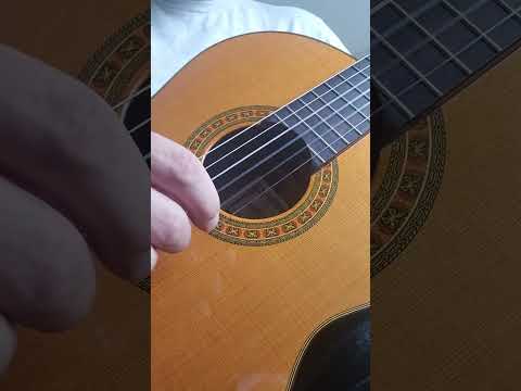 Asturias Standard Handmade Classical Guitar Japan 1997 image 15