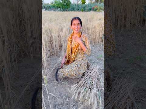 Finish my all rice 🌾😱 #shorts #comedy