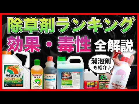 試験済みの芝生種子混合物 トピックス