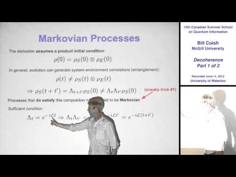 Bill Coish - Decoherence (Part 1) - CSSQI 2012