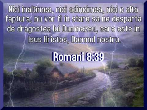 Hotarare -- Lucica Toader