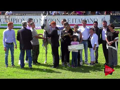 2 nd place N.67 CREOLA LC - 2017 Italian Nationals - Mares Championship (Class 19)