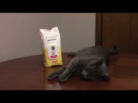 Cat Wipes - YouTube