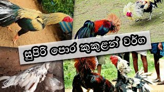Top Parrot Beak Collection in Sri Lanka  සුප