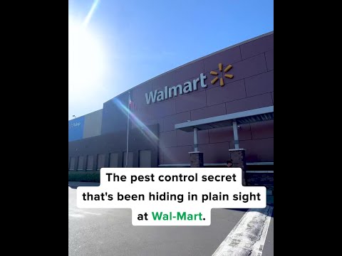 Bug Md Walmart