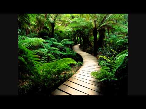 EWQL symphonic orchestra