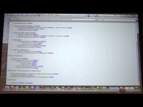#24 Biochemistry Gluconeogenesis Lecture for Kevin Ahern's BB 450/550