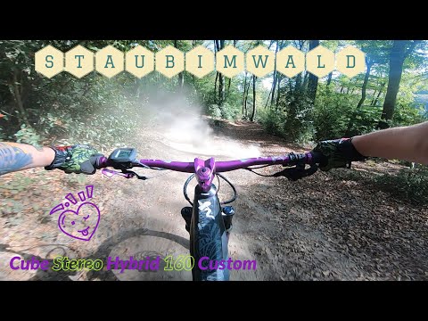 Staub im Wald - Cube Stereo Hybrid 160 Custom