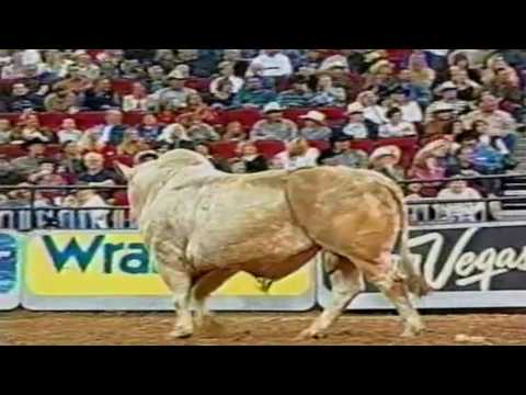 PBR 2004: Peacemaker slams Corey Navarre into the chute