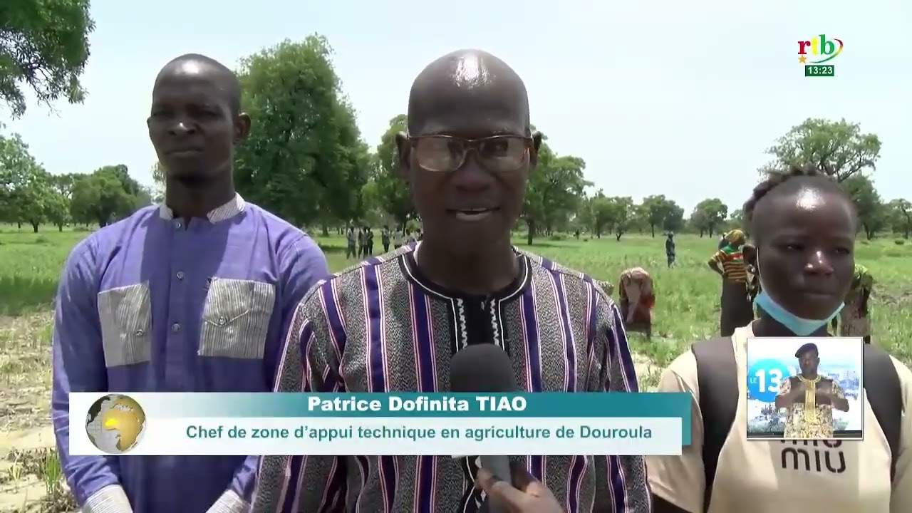 Campagne agricole dans le Mouhoun : l’appui étatique redynamise les producteurs