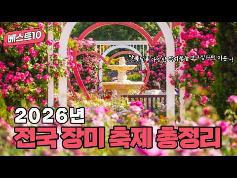 2026년 전국 장미 축제 BEST10 🌹 | 가볼만한곳 | 여행 | 5월 | 가정의달 | 장미 | 5월가볼만한곳