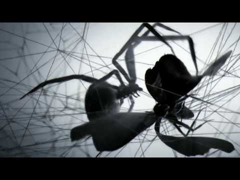 The M.S.P. - Nuuk Is A Haunted City